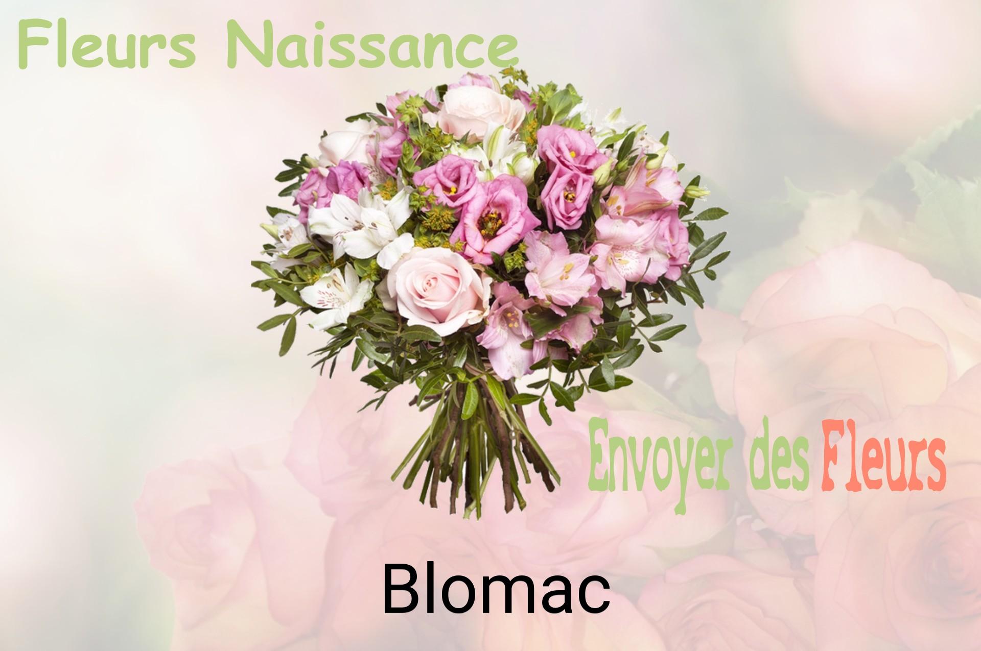 Bouquet de fleurs de naissance livré à Blomac